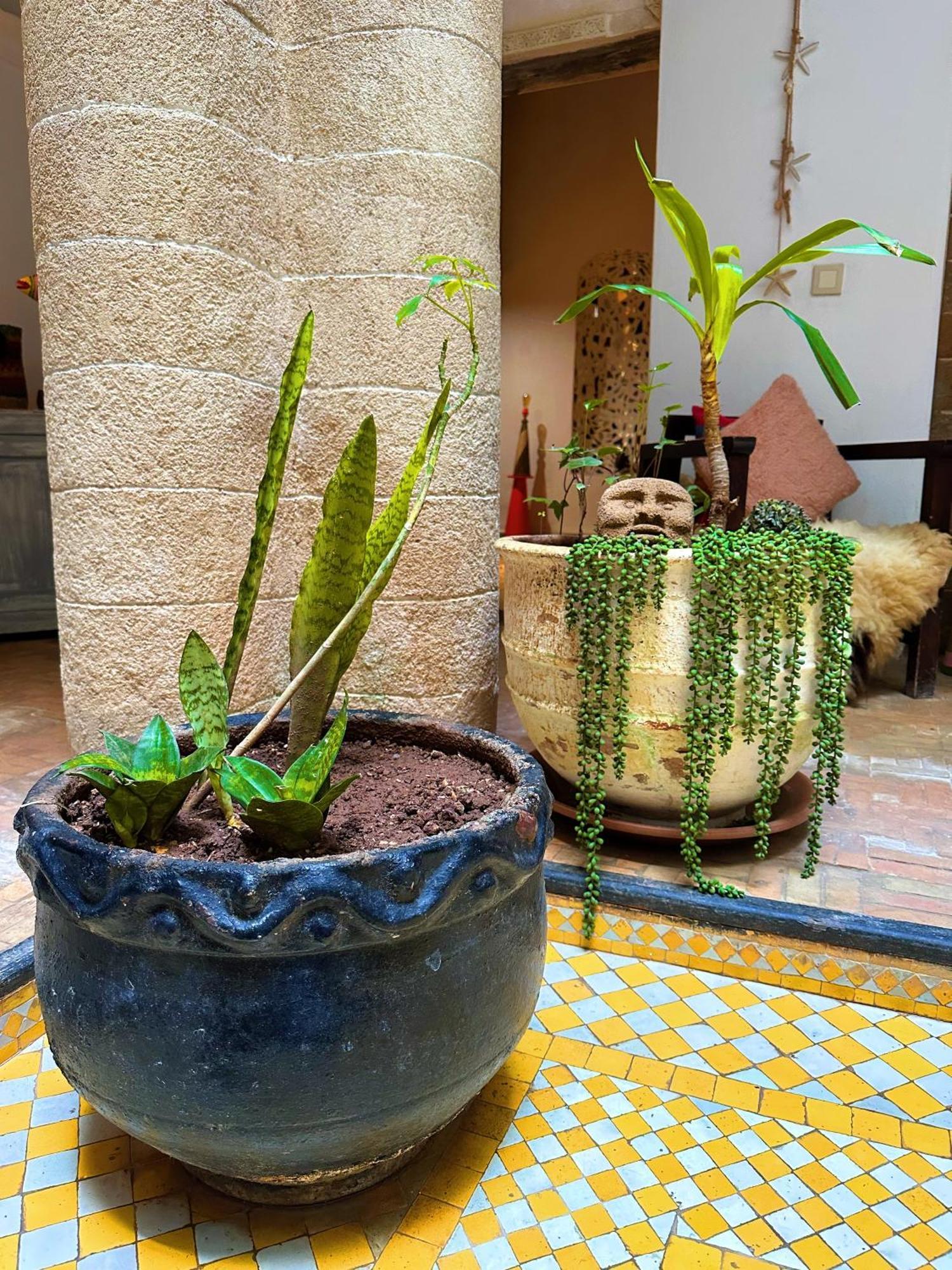 Les Terrasses D'Essaouira - Yoga Studio Екстер'єр фото