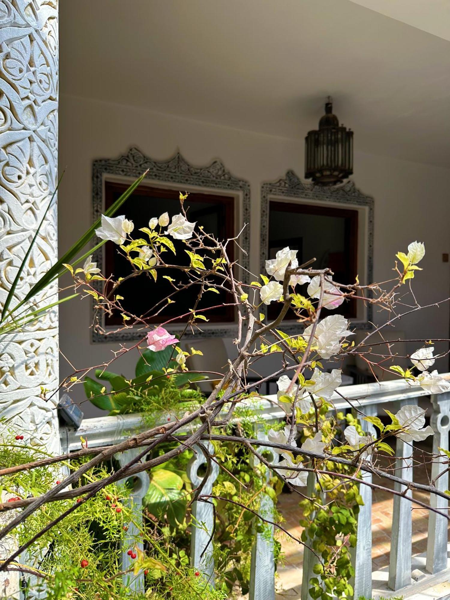 Les Terrasses D'Essaouira - Yoga Studio Екстер'єр фото